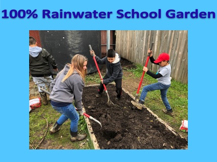 100% Rainwater Garden