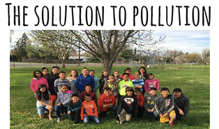 Solution to Pollution