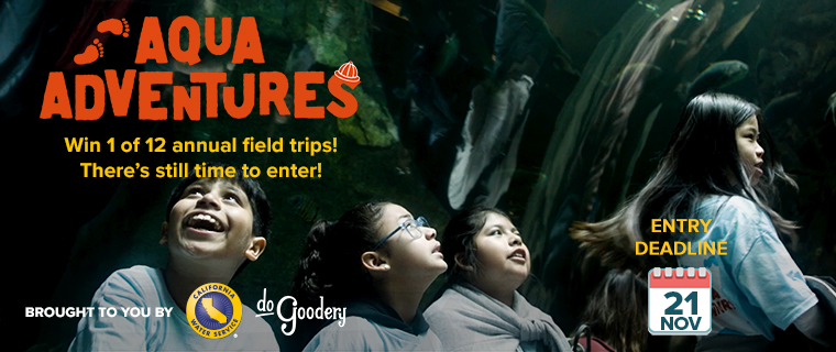 A photo of kids in front of an aquarium, one looking up and smiling. Text over the image. Aqua Adventures. Win 1 of 12 annual field trips! There's still time to enter! Brought to you by [Cal Water logo] [DoGoodery logo] Entry Deadline: Nov 21.