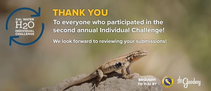 The Cal Water H2O Individual Challenge Logo beside text reading "Thank you to everyone who participated in the second annual Individual Challenge! We look forward to reviewing your submissions!" All over a shot of a lizard on a rock, in crisp focus, with an out of focus background. The lower right reads "Brought to you by [Cal Water Service logo] [DoGoodery Logo]"