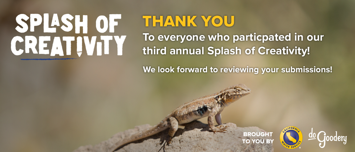 Image of a lizard on a beige rock with an out of focus green and brown background. Over the image, text: [Splash of Creativity Logo] Thank You to everyone who participated in our third annual Splash of Creativity! We look forward to reviewing your submissions! Brought to you by: [California Water Service Logo] [DoGoodery Logo]