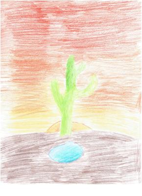 Colored pencils illustration of a cactus behind a puddle of water with a sunset behind it, the sky in variations of yellow, orange, and red.